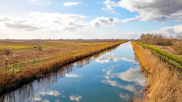 A long, straight waterway with clouds reflected in the water, lined with golden reeds
